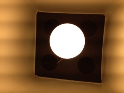 20131210-174656.jpg